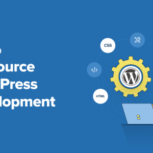 Read more about the article How to Outsource WordPress Development (5 Expert Tips)