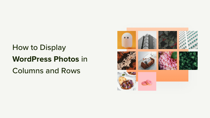 You are currently viewing How to Display WordPress Photos in Columns and Rows