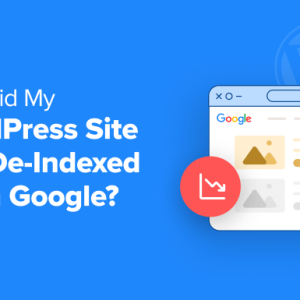 Read more about the article Why Did My WordPress Site Get De-Indexed From Google?