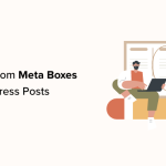 How to Add Custom Meta Boxes in WordPress Posts and Post Types