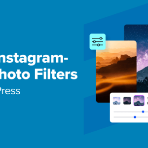 Read more about the article How to Add Instagram-like Photo Filters in WordPress (Step by Step)