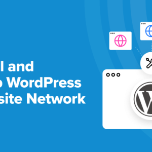 Read more about the article How to Install and Setup WordPress Multisite Network