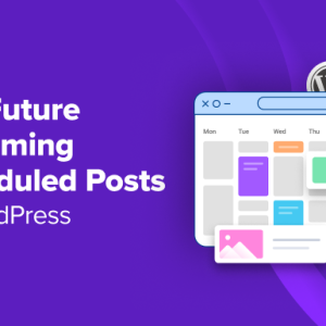 Read more about the article How to List Future Upcoming Scheduled Posts in WordPress