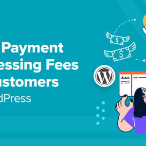 Read more about the article How to Pass Payment Processing Fees to Customers in WordPress