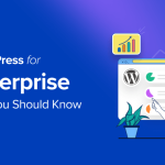 WordPress for Enterprise – 6 Tips You Should Know