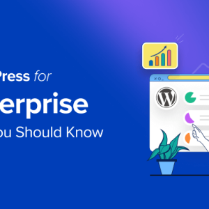 Read more about the article WordPress for Enterprise – 6 Tips You Should Know
