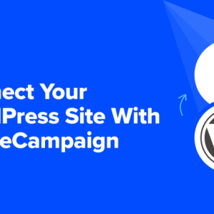 Read more about the article How to Connect Your WordPress Site With ActiveCampaign (5 Methods)