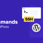 16 SSH Commands that Every WordPress User Should Know