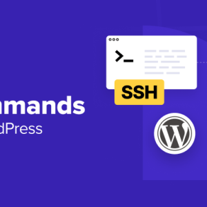 Read more about the article 16 SSH Commands that Every WordPress User Should Know