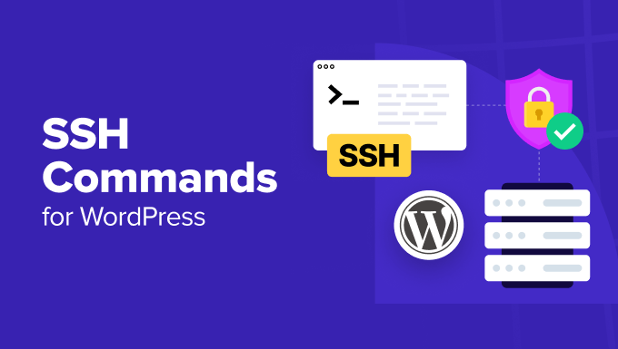 Read more about the article 16 SSH Commands that Every WordPress User Should Know