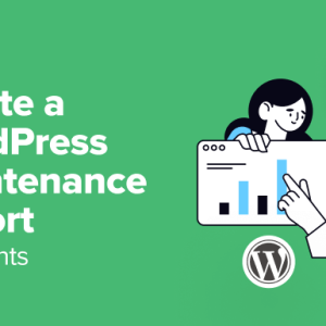 Read more about the article How to Create a WordPress Maintenance Report for Clients