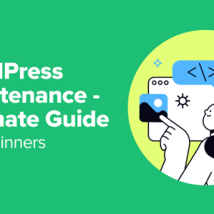 Read more about the article WordPress Maintenance – Ultimate Guide for Beginners (2024)