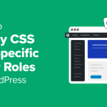 How to Apply CSS for Specific User Roles in WordPress (Easy Way)