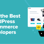 How to Hire the Best WordPress eCommerce Developers (Expert Tips)