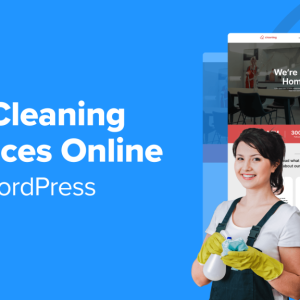 Read more about the article How to Sell Cleaning Services Online with WordPress (2 Easy Ways)