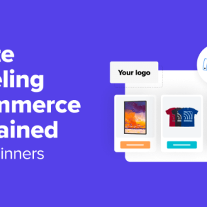 Read more about the article White Labeling Ecommerce Explained for Beginners