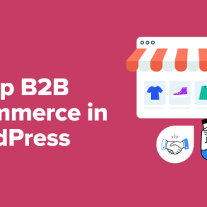 Read more about the article How to Setup B2B eCommerce in WordPress – Beginner’s Guide