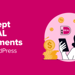 How to Accept iDEAL Payments in WordPress (2 Methods)