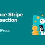 How to Reduce Stripe Transaction Fees in WordPress (3 Expert Tips)