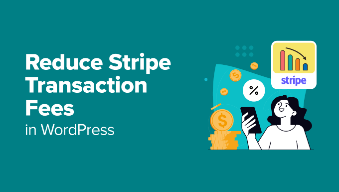 Read more about the article How to Reduce Stripe Transaction Fees in WordPress (3 Expert Tips)