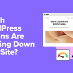 Which WordPress Plugins Are Slowing Down Your Site?