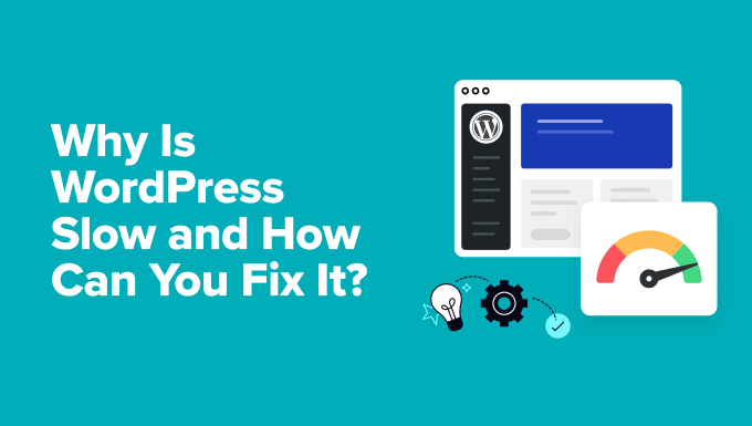 Read more about the article Why Is WordPress Slow? Learn How to Fix It with Our 11 Expert Tips