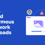 How to Avoid Enormous Network Payloads in WordPress (8 Expert Tips)