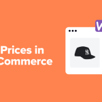 How to Hide Prices in WooCommerce (Keep Product Pricing Private)