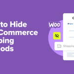 How to Hide WooCommerce Shipping Methods (2 Easy Ways)