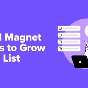 Read more about the article What Is a Lead Magnet? 19 Lead Magnet Ideas to Grow Your Email List