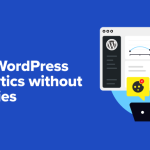 How to Add WordPress Analytics Without Cookies (2 Easy Methods)