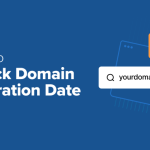 How to Check Domain Expiration Date: Avoid Website Downtime