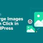 How to Enlarge Images Upon Click in WordPress (3 Easy Methods)