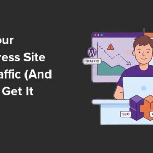 Read more about the article Why Your WordPress Site Lost Traffic (And How to Get It Back)